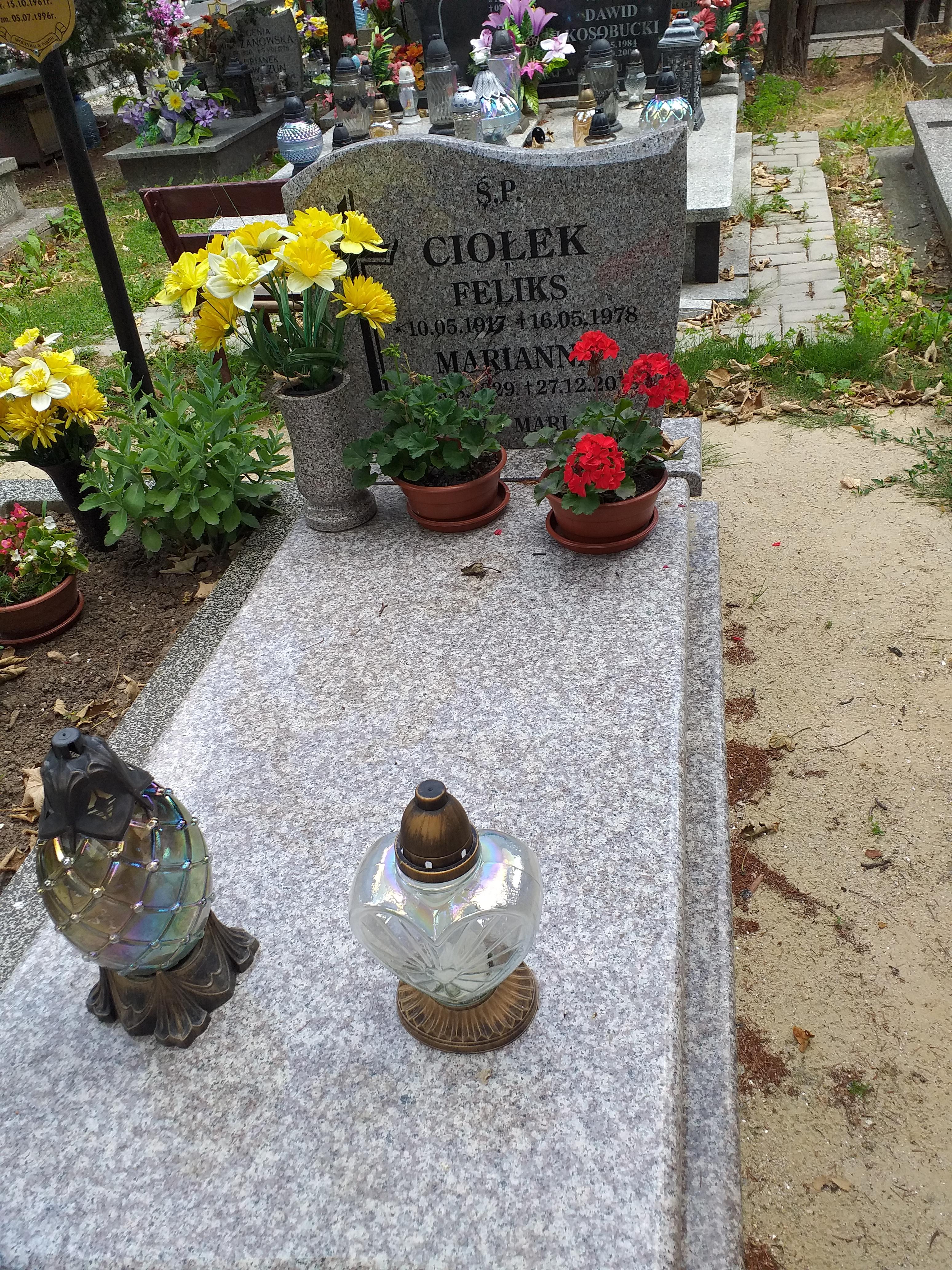 Feliks Ciołek 1917 Świdnica - Grobonet - Wyszukiwarka osób pochowanych