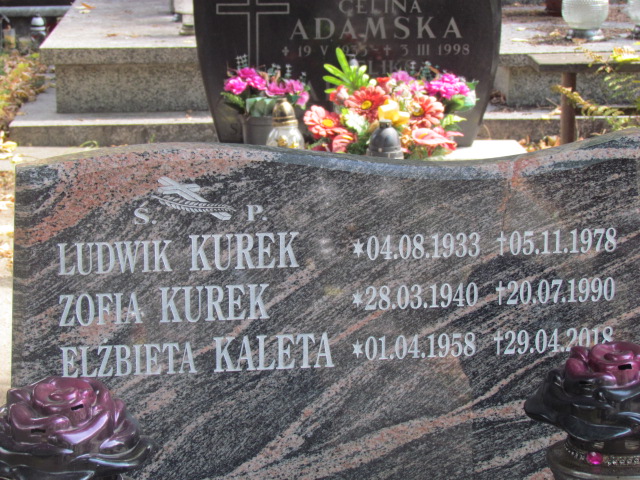 Elżbieta Kaleta 1958 Świdnica - Grobonet - Wyszukiwarka osób pochowanych