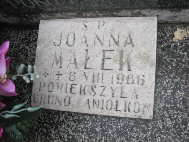 Katarzyna Małek 1899 Świdnica - Grobonet - Wyszukiwarka osób pochowanych