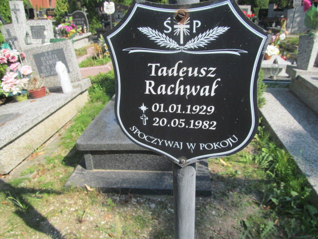 Tadeusz Rachwał 1929 Świdnica - Grobonet - Wyszukiwarka osób pochowanych
