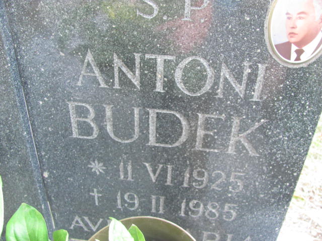 Stanisława Budek 1929 Świdnica - Grobonet - Wyszukiwarka osób pochowanych