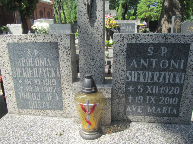 Apolonia Siekierzycka 1919 Świdnica - Grobonet - Wyszukiwarka osób pochowanych