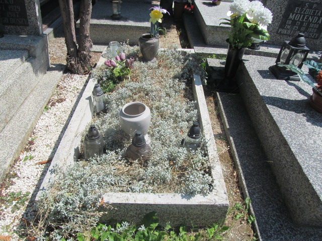 Ewa Krzeszewska 1961 Świdnica - Grobonet - Wyszukiwarka osób pochowanych