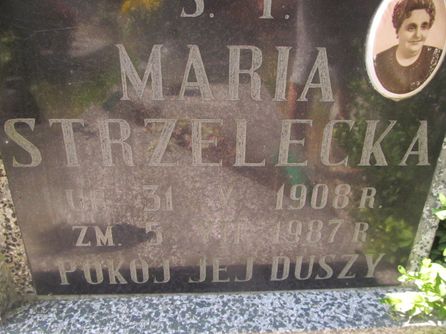 Maria Strzelecka 1908 Świdnica - Grobonet - Wyszukiwarka osób pochowanych