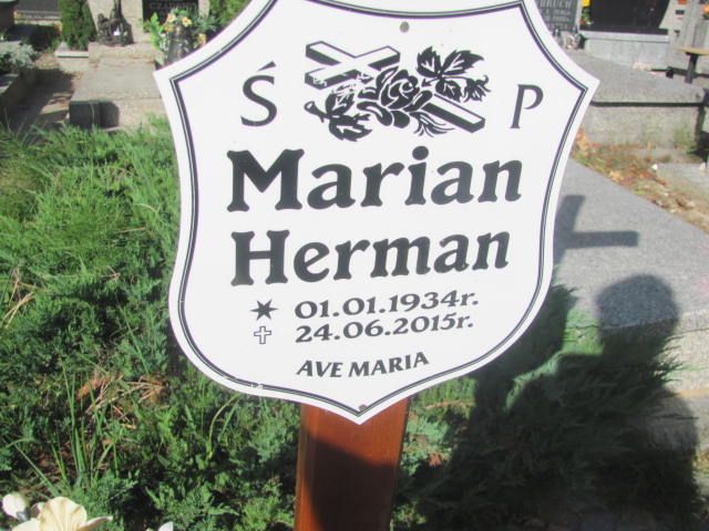 Aleksander Herman 1966 Świdnica - Grobonet - Wyszukiwarka osób pochowanych