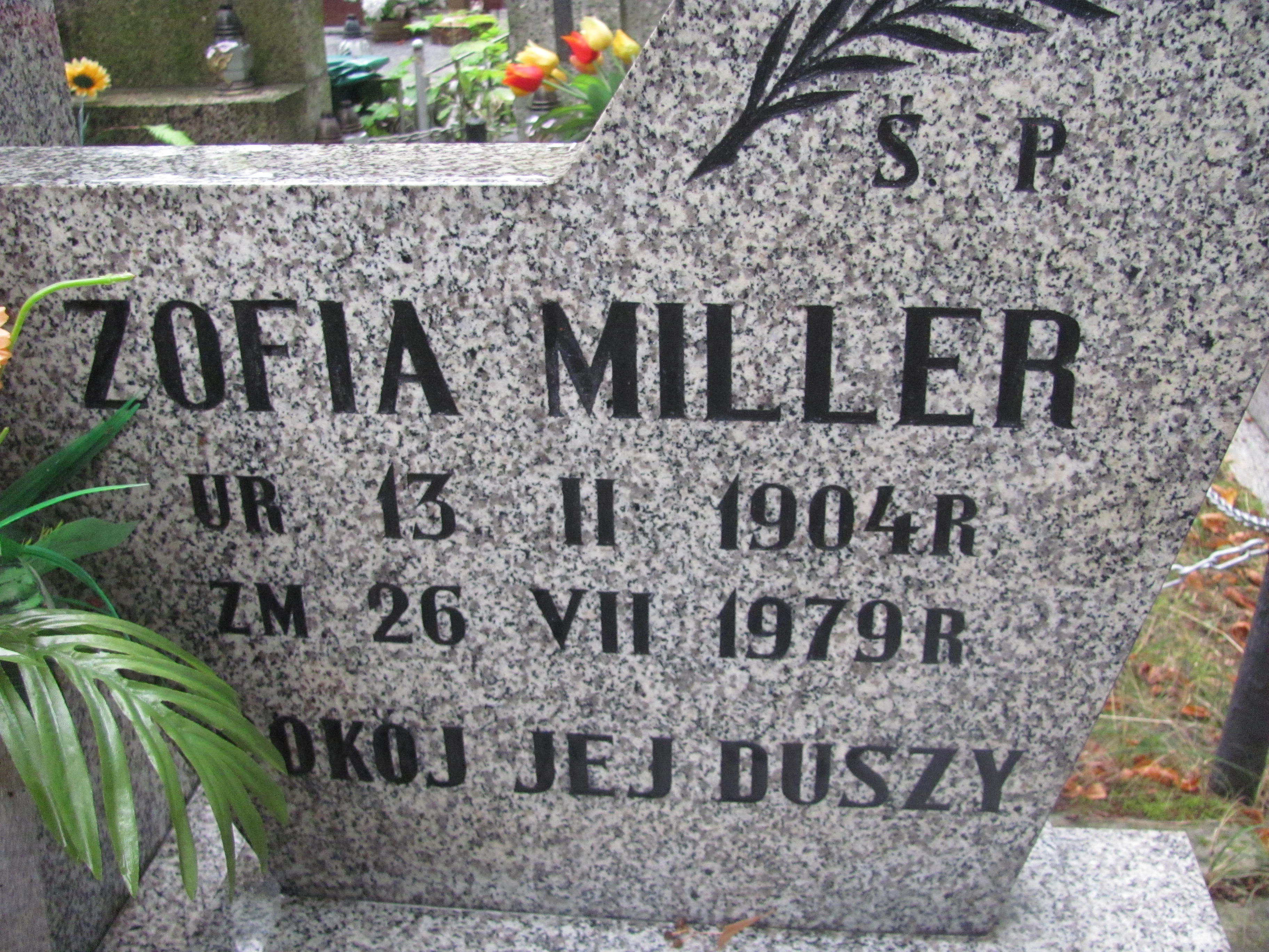 Zofia Miller 1904 Świdnica - Grobonet - Wyszukiwarka osób pochowanych