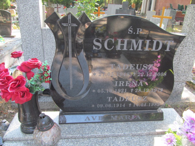 Tadeusz Schmidt 1948 Świdnica - Grobonet - Wyszukiwarka osób pochowanych