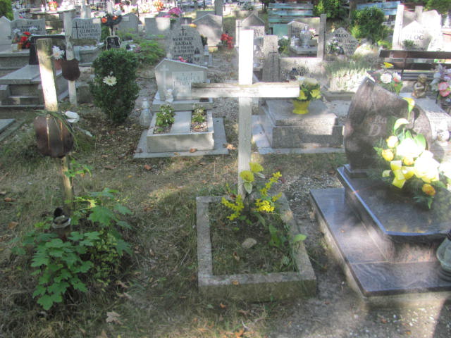  NN Świdnica - Grobonet - Wyszukiwarka osób pochowanych