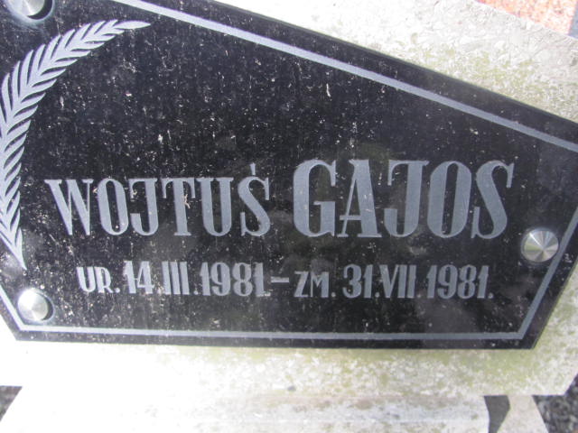 Paweł Gajos 1954 Świdnica - Grobonet - Wyszukiwarka osób pochowanych