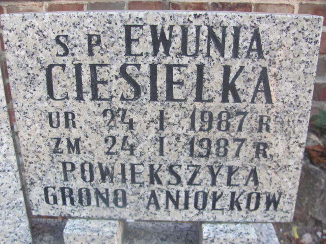 Ewa Ciesielka 1987 Świdnica - Grobonet - Wyszukiwarka osób pochowanych