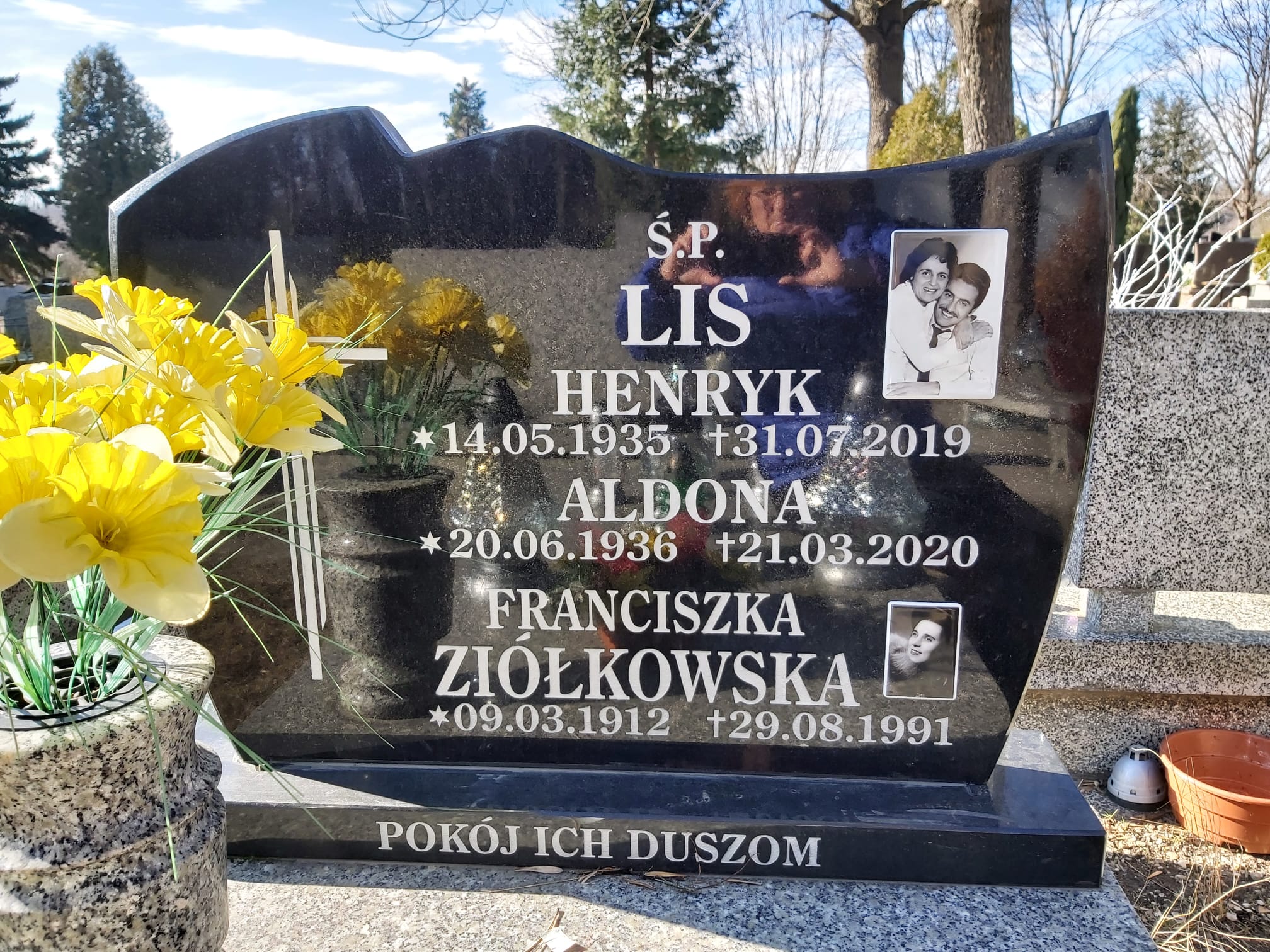 Grób Henryk Lis