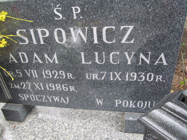 Mateusz Sipowicz 1983 Świdnica - Grobonet - Wyszukiwarka osób pochowanych