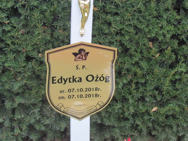 Edyta Ożóg 2018 Świdnica - Grobonet - Wyszukiwarka osób pochowanych