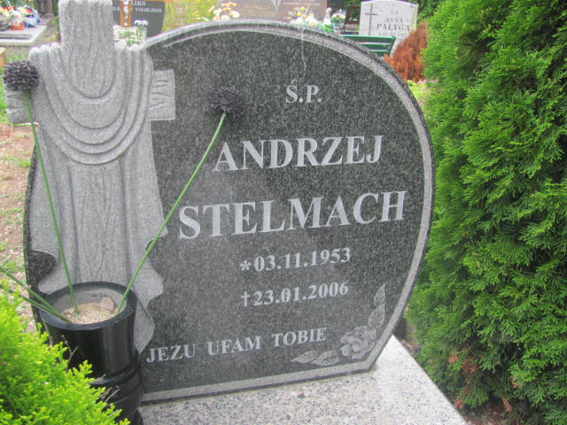 Andrzej Stelmach 1953 Świdnica - Grobonet - Wyszukiwarka osób pochowanych