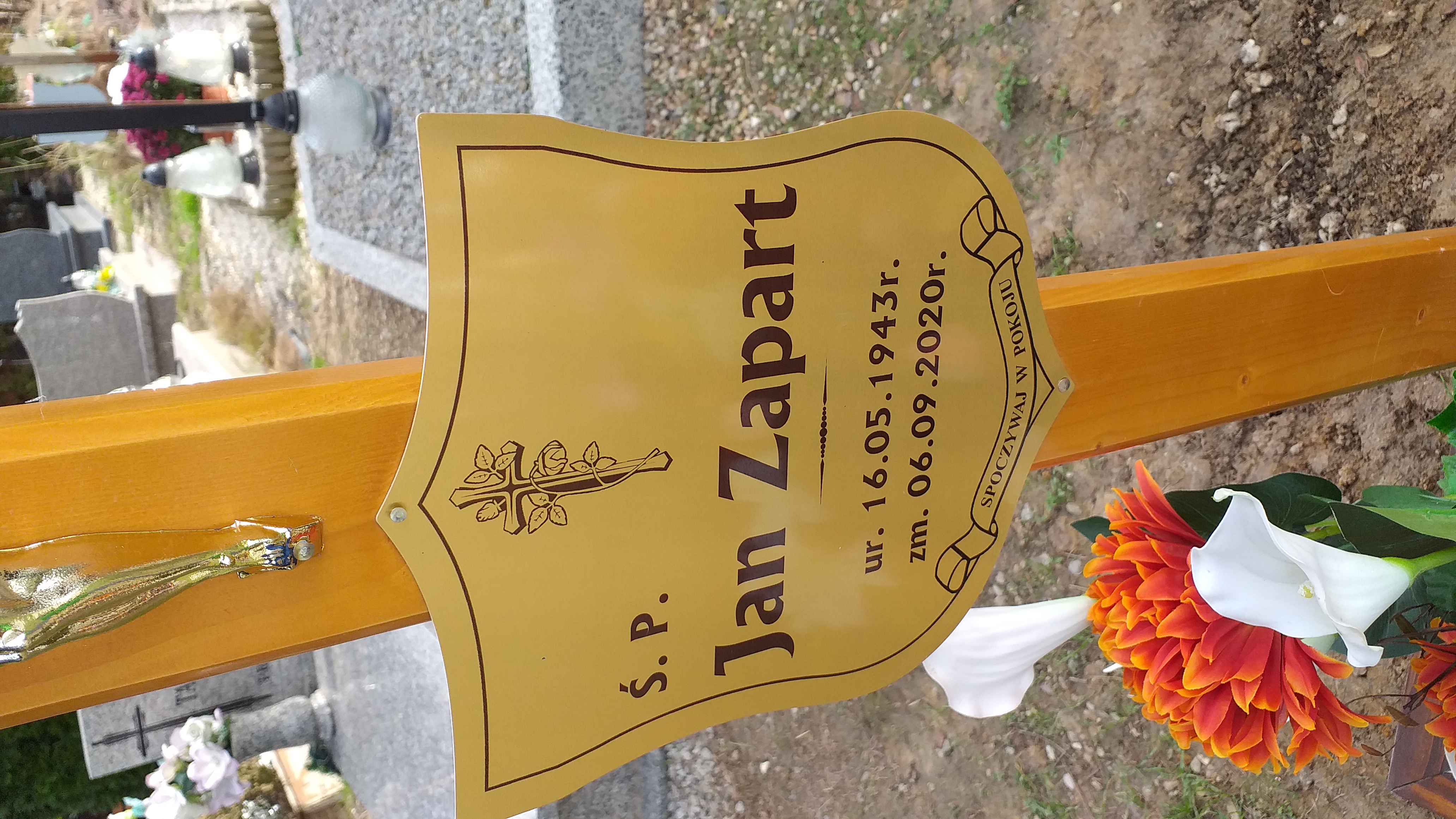 Jan Zapart 1943 Świdnica - Grobonet - Wyszukiwarka osób pochowanych