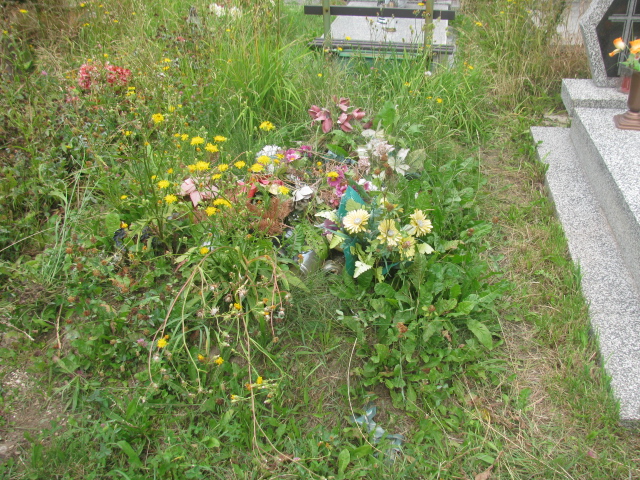 Ignacy Pękala 1931 Świdnica - Grobonet - Wyszukiwarka osób pochowanych