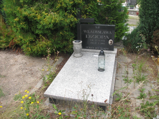 Grób Władysława Dziopa