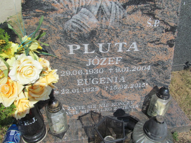 Józef Pluta 1930 Świdnica - Grobonet - Wyszukiwarka osób pochowanych