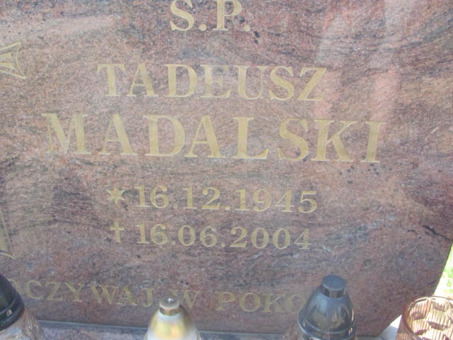 Tadeusz Madalski 1945 Świdnica - Grobonet - Wyszukiwarka osób pochowanych
