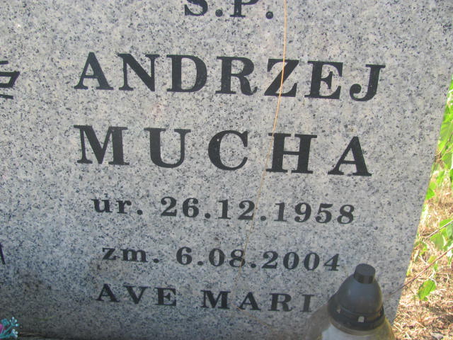 Andrzej Mucha 1958 Świdnica - Grobonet - Wyszukiwarka osób pochowanych