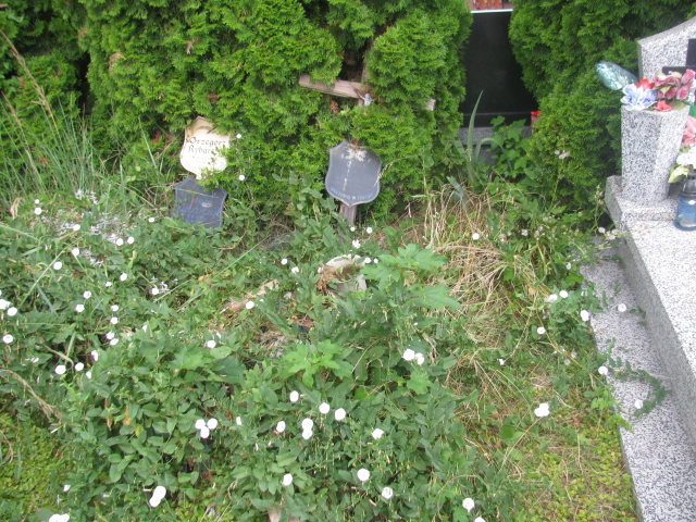  NN Świdnica - Grobonet - Wyszukiwarka osób pochowanych