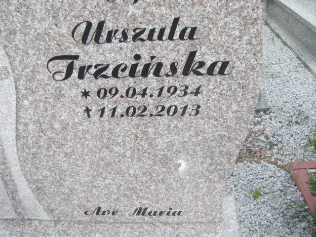 Urszula Trzcińska 1934 Świdnica - Grobonet - Wyszukiwarka osób pochowanych