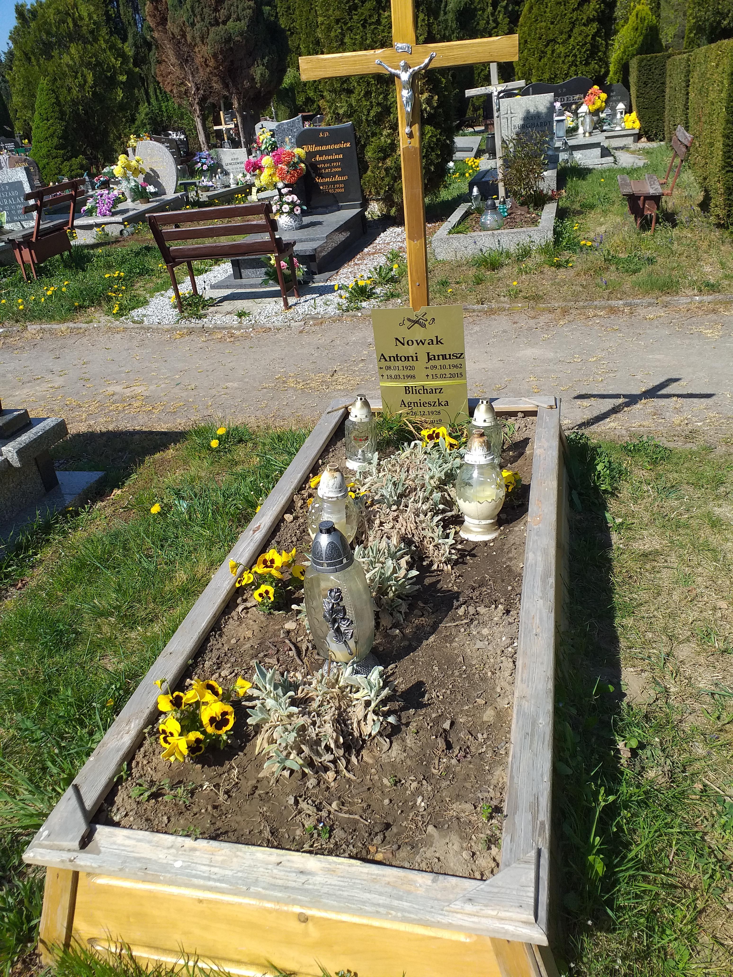 Agnieszk Blicharz 1928 Świdnica - Grobonet - Wyszukiwarka osób pochowanych