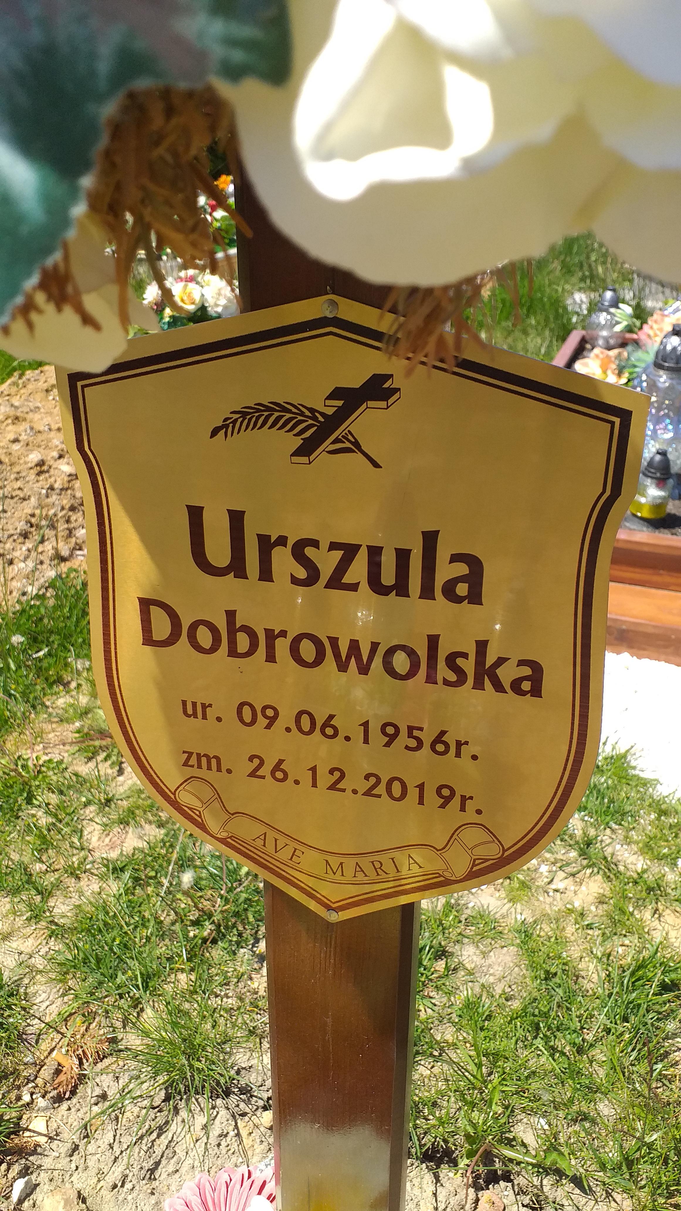 Urszula Dobrowolska 1956 Świdnica - Grobonet - Wyszukiwarka osób pochowanych