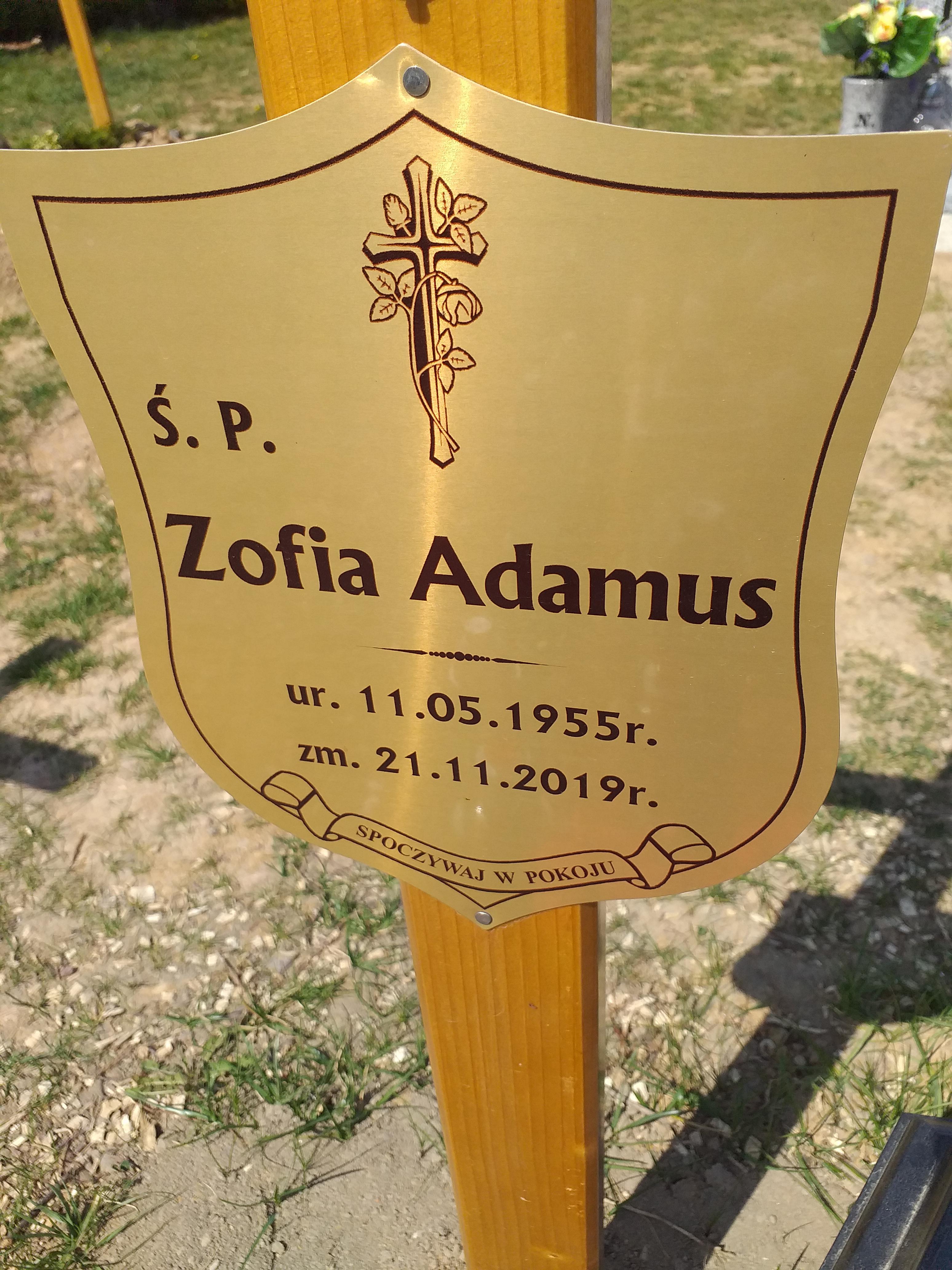 Zofia Adamus 1955 Świdnica - Grobonet - Wyszukiwarka osób pochowanych