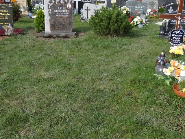 Edward Mak 1940 Świdnica - Grobonet - Wyszukiwarka osób pochowanych