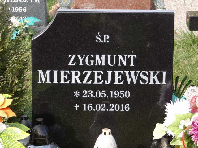 Zygmunt Mierzejewski 1950 Świdnica - Grobonet - Wyszukiwarka osób pochowanych