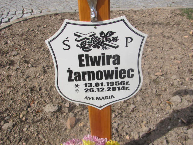 Elwira Żarnowiec 1956 Świdnica - Grobonet - Wyszukiwarka osób pochowanych